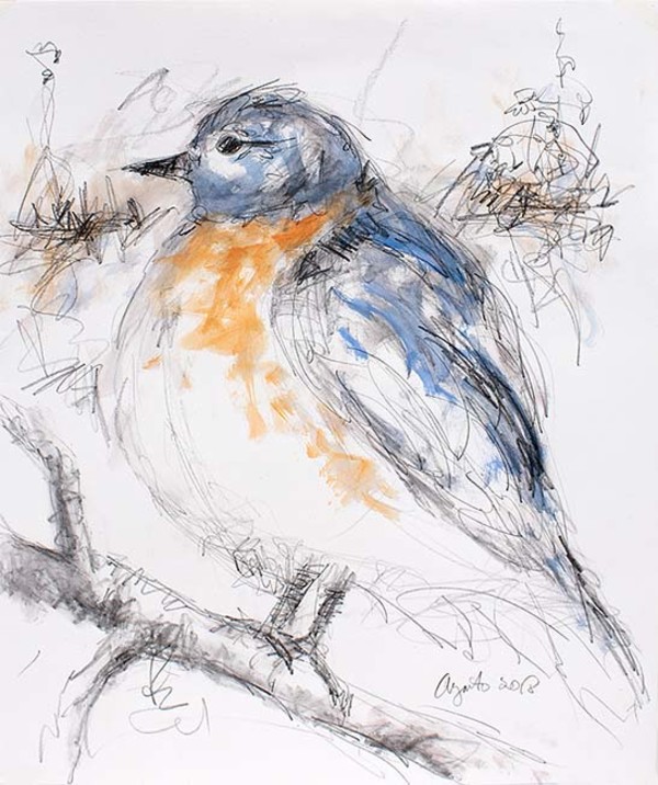 Bluebird by Frank Argento