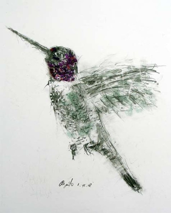 Hummingbird by Frank Argento