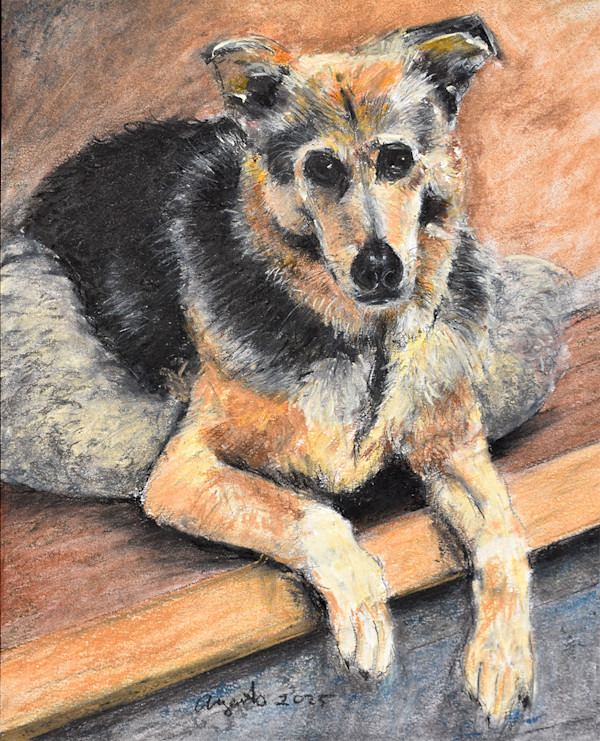 Sheba by Frank Argento