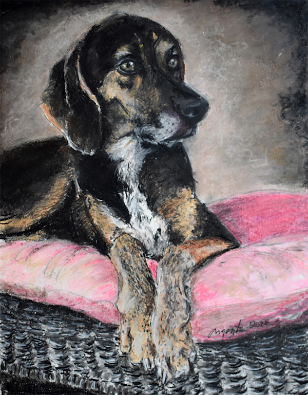 Willow by Frank Argento, Image 1.
