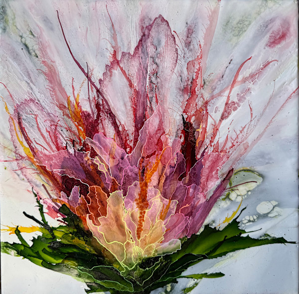 Mo Shiorghra by Alane Holsteen