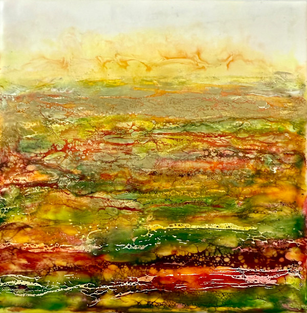 Sky on Fire by Alane Holsteen