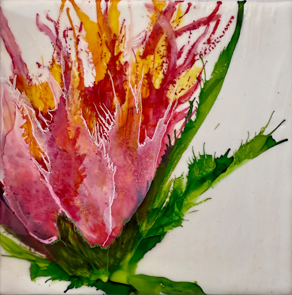 Your Life is My Life by Alane Holsteen