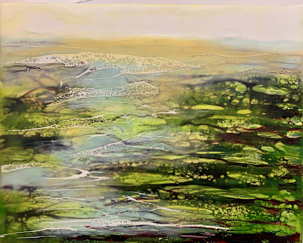 Illumine by Alane Holsteen