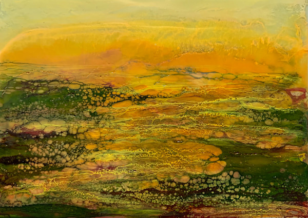 Golden Sunrise by Alane Holsteen