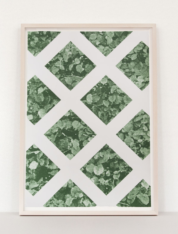 Green Hedge by Elizabeth Corkery