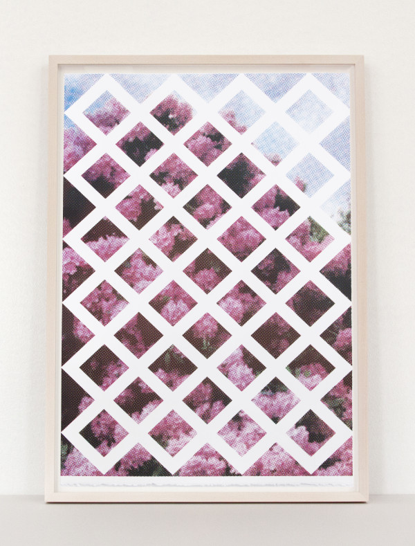Pink Floral Trellis by Elizabeth Corkery