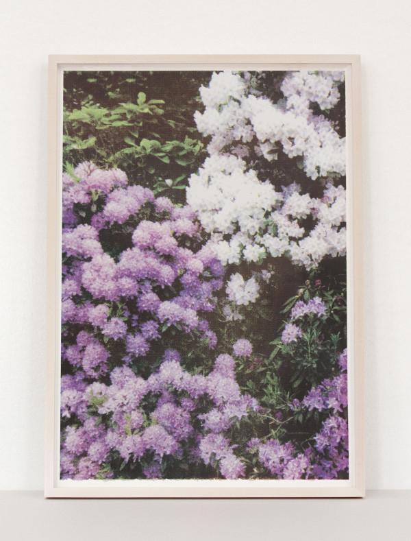 Purple/White Florals by Elizabeth Corkery