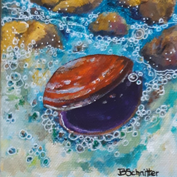 Tidal Pool 1 by Bonnie Schnitter