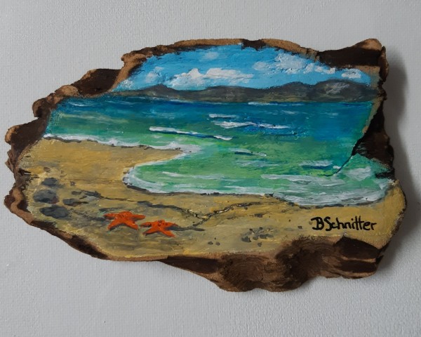 Acrylic paintings on driftwood, various sizes typically 2 x 4 (some smaller, some larger) by Bonnie Schnitter