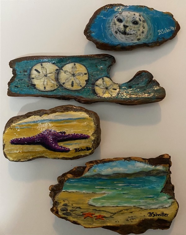 Painted Driftwood by Bonnie Schnitter