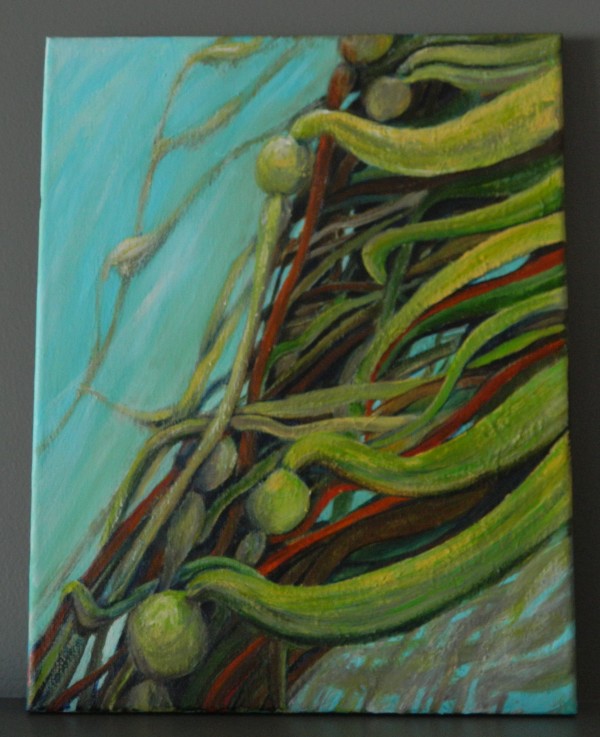 kelp by Bonnie Schnitter