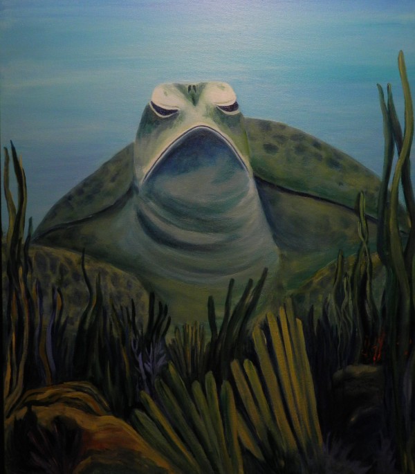 Sea Turtle by Bonnie Schnitter