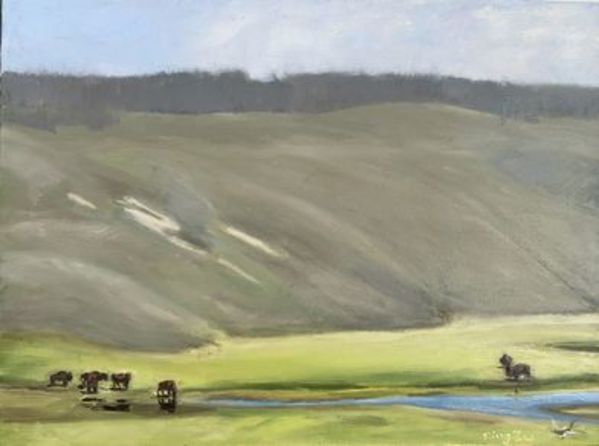 Bisons in Hayden Valley by Ning Xie