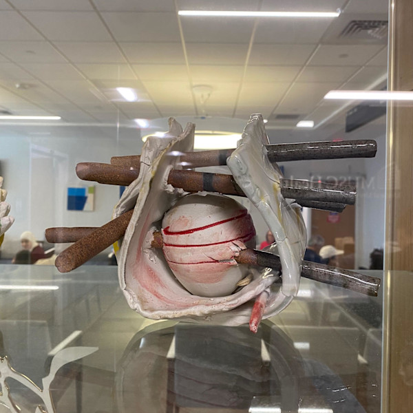 Fiorenzo Berardozzi by Fiorenzo Berardozzi