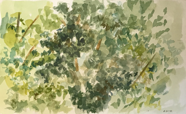 Landscape with Dense Leaves by Ginny Sykes