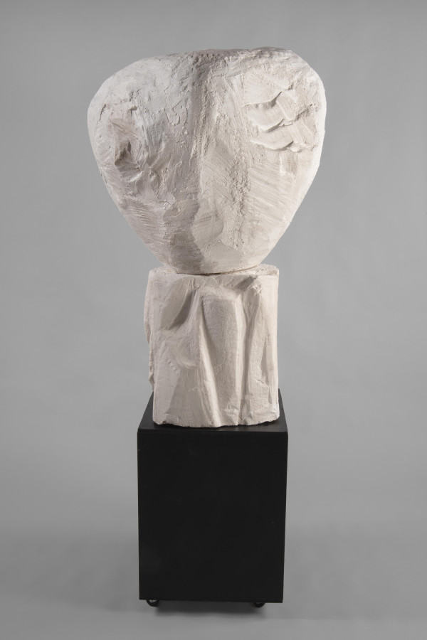 Head