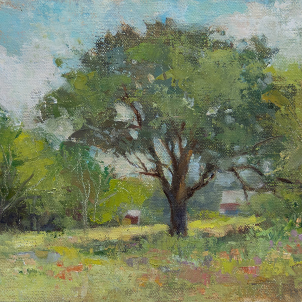 Oak Tree Hill by Deb Kirkeeide