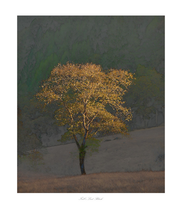 Fall's Last Blush - 30x24 #1 of 5 by James H. Marks