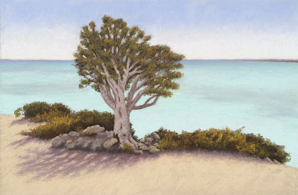 Serenity by Lisa Cunningham