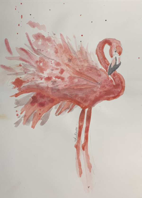 Flamingo Spray by Robin Moore