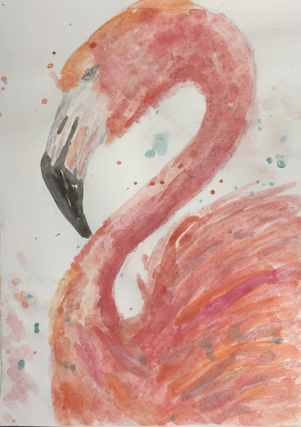 Flamingo Splatter by Robin Moore