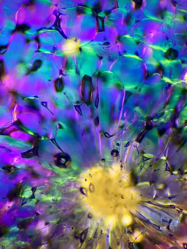 Macro 80 by Robin Moore
