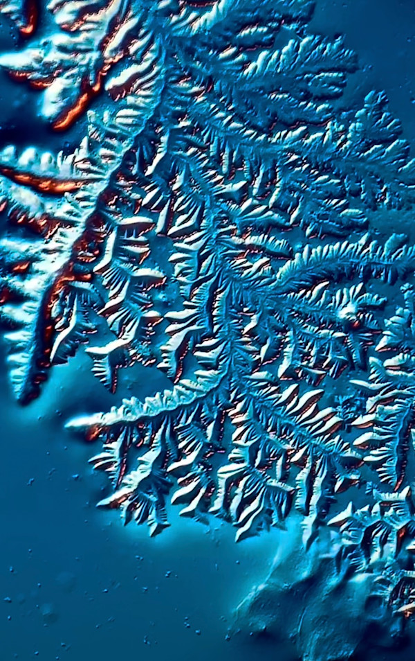 Macro 011 by Robin Moore
