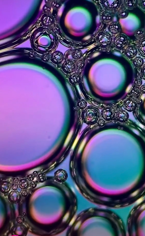 Macro 26 by Robin Moore