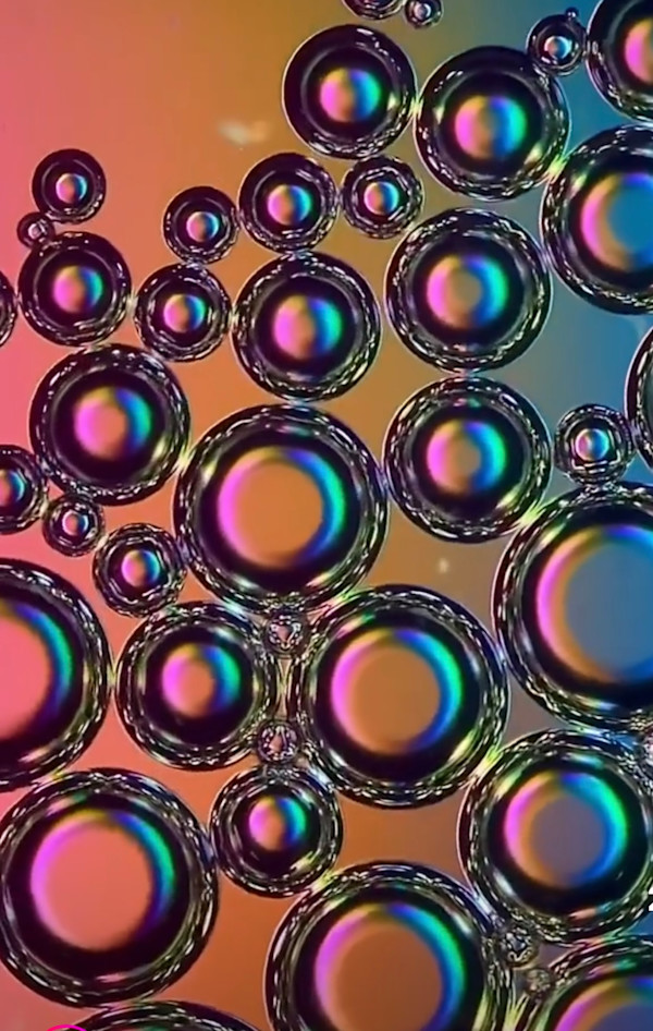Macro 29 by Robin Moore