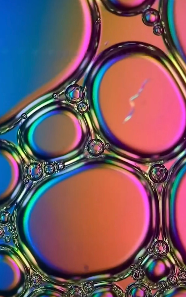 Macro 23 by Robin Moore