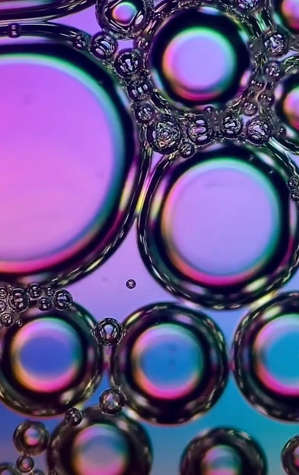 Macro 59 by Robin Moore