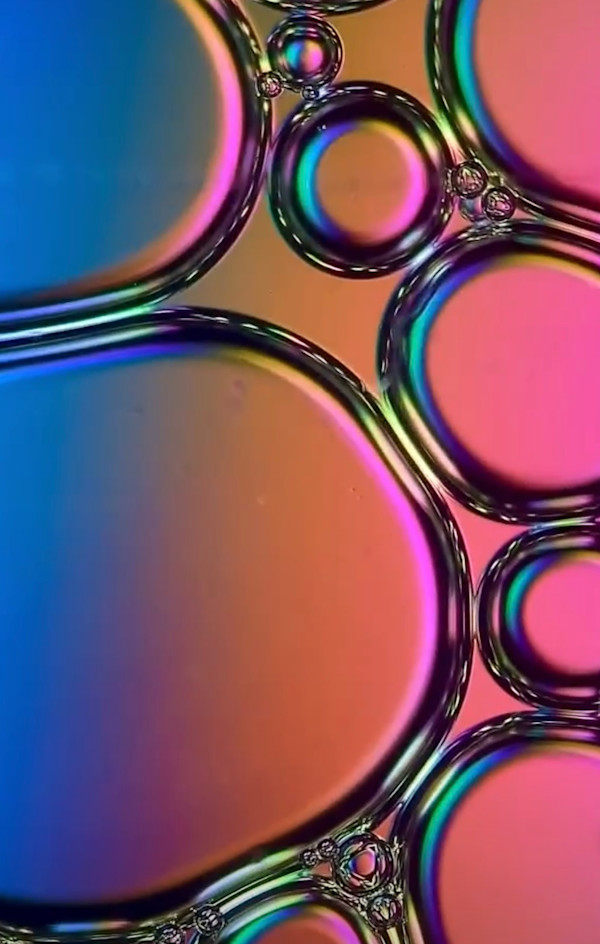Macro 60 by Robin Moore