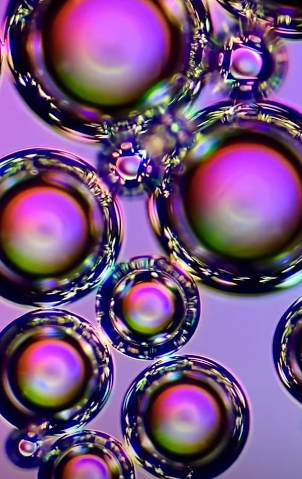 Macro 56 by Robin Moore