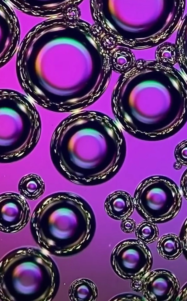 Macro 54 by Robin Moore