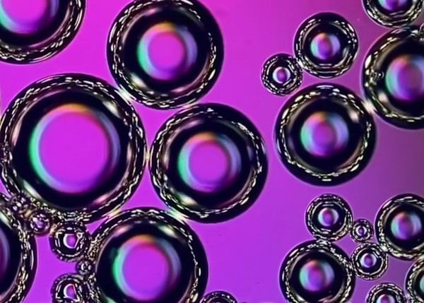 Macro 47 by Robin Moore