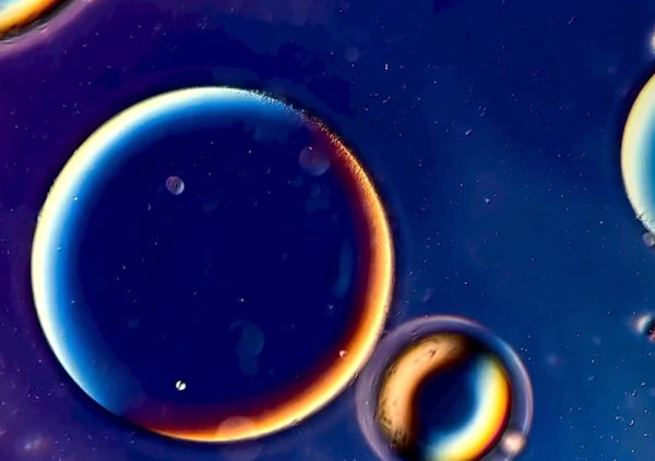 Macro 42 by Robin Moore