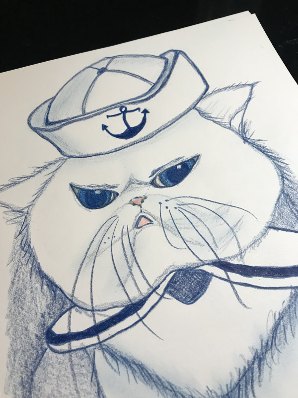 Grumpy Navy Cat by Robin Moore