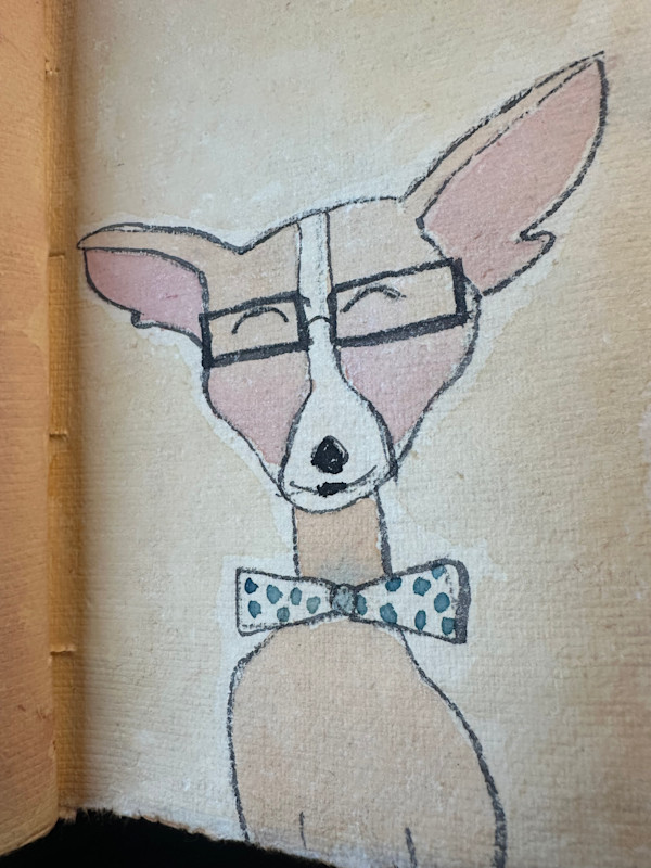 Smug Chihuahua Sketch by Robin Moore