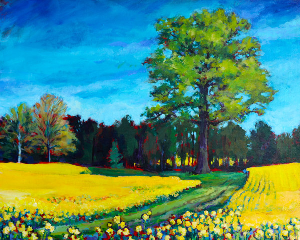 Follow the Yellow Brick Road by Brenda M. Sylvia