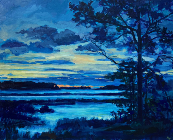 Last Light by Brenda M. Sylvia