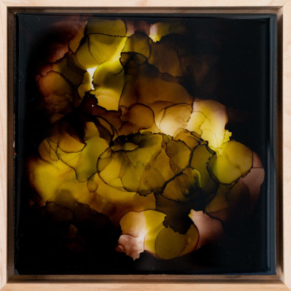 Treasures Within The Soil 2 by Monica Tie, Image 1.