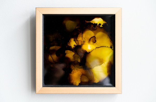 Untitled, Image 1.