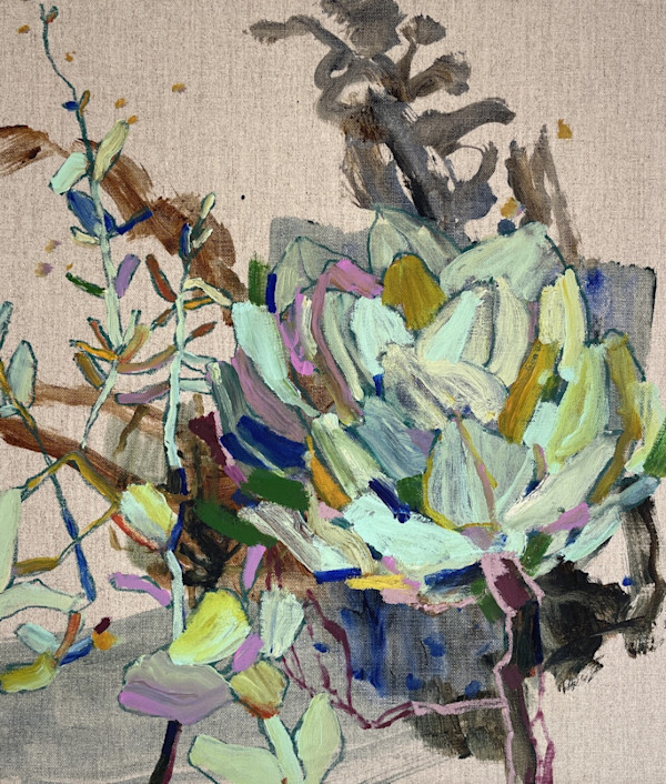 Echeveria by Kate Owen