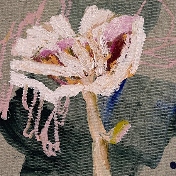 Tawny Funnel Lepista Flaccida by Kate Owen