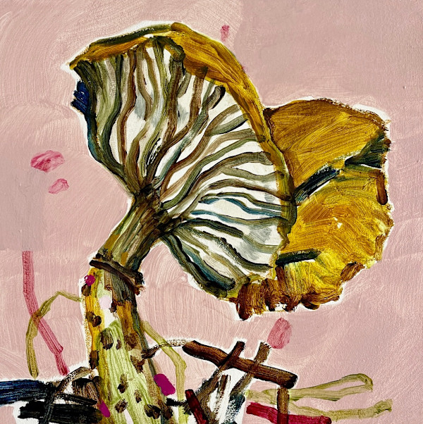 The Curious Case of the Crooked Spore by Kate Owen