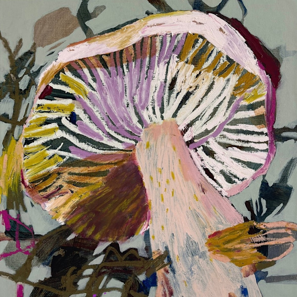 The Rosy Bonnet Mycena Rosea by Kate Owen