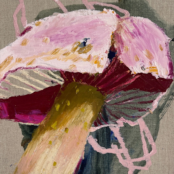 Webcap 1 Cortinarius Magellanicus by Kate Owen