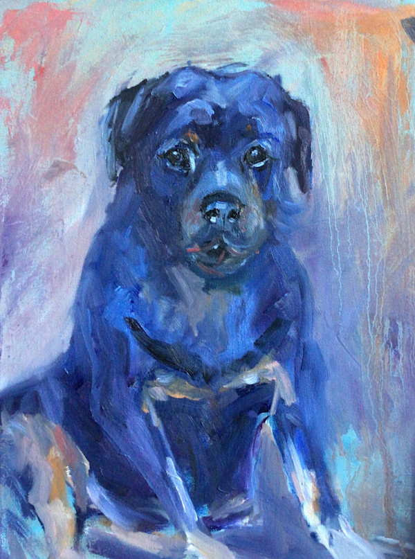 Plato by karen pedersen