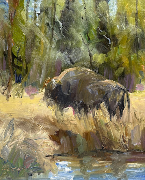 Buffalo by karen pedersen